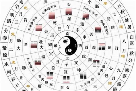 十天干五行|十二天干地支五行对照表 天干地支配对表